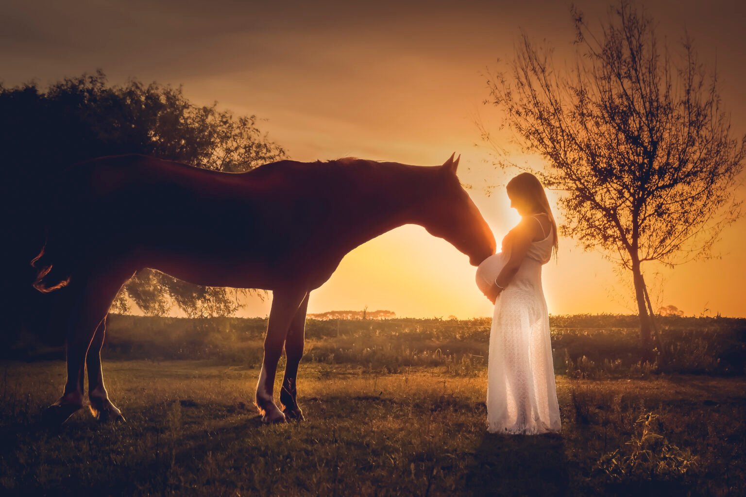 mujer embarazada con caballo, fotos embarazadas exterior, fotos evolución embarazo, fotos para anunciar embarazo